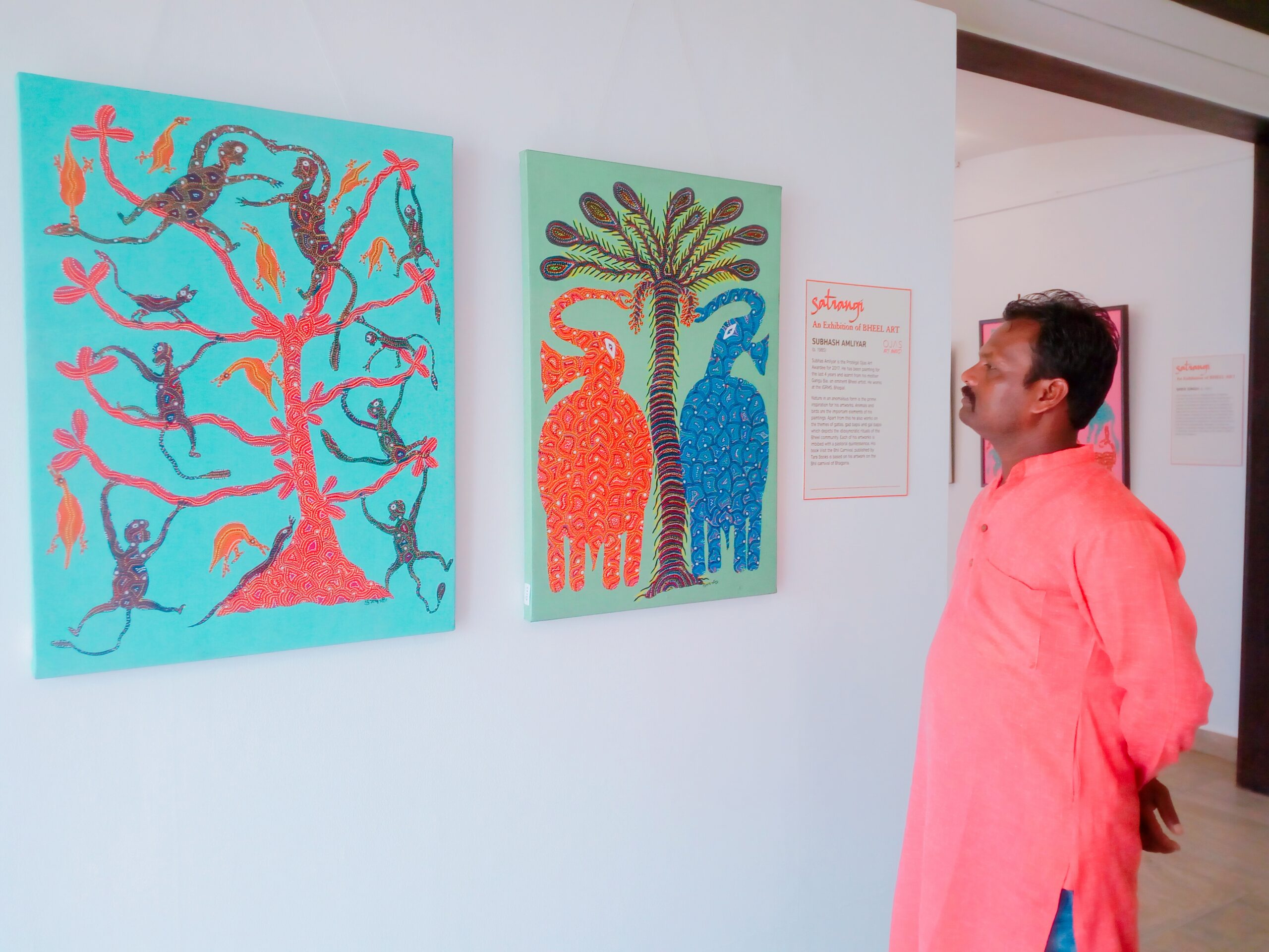 Satrangi- Bheel Art, 2017- Opening Images (17)